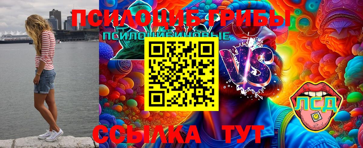 Галлюциногенные грибы Magic Shrooms  Вход с VPN  Вязники  Псилоцибиновые грибы GOLDEN TEACHER 